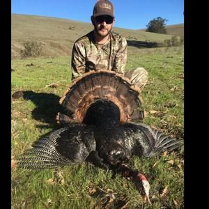 Meet your Posher, Billie